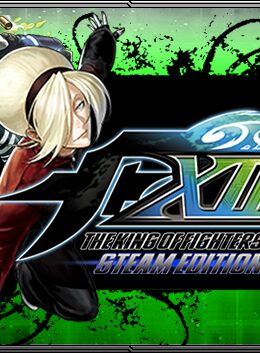 The King Of Fighters XIII Steam Edition Steam CD Key