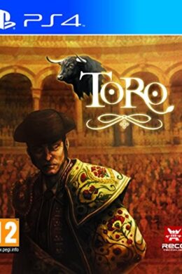 Toro Steam CD Key