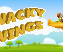 Wacky Wings VR Steam CD Key