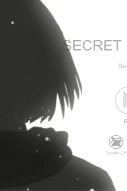 Secret in Story Steam CD Key