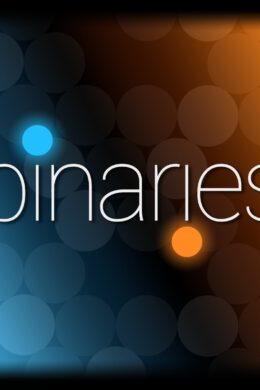 Binaries Steam CD Key