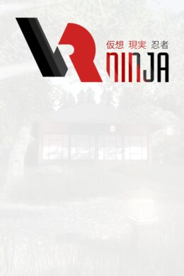 VRNinja Steam CD Key