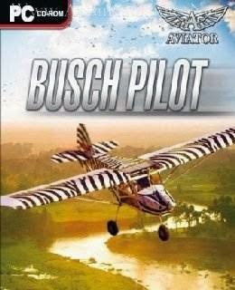 Aviator - Bush Pilot Steam CD Key