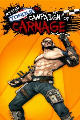 Borderlands 2 - Mr. Torgue's Campaign of Carnage DLC Steam CD Key