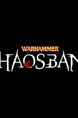 Warhammer: Chaosbane Slayer Edition Steam CD Key