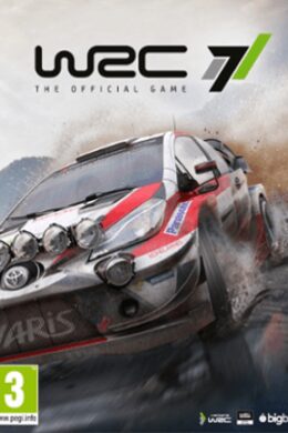 WRC 7 (PC) - Steam Key - GLOBAL