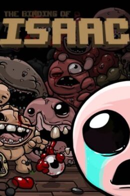 The Binding of Isaac Collection Steam Key GLOBAL