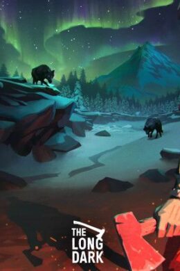 The Long Dark (PC) - Steam Key - GLOBAL