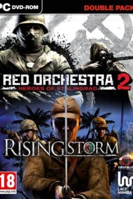 Red Orchestra 2: Heroes of Stalingrad + Rising Storm Steam Key GLOBAL