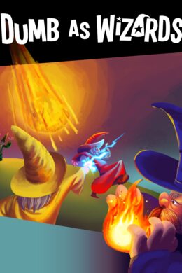 Dumb As Wizards Steam CD Key