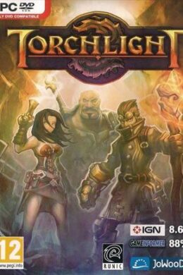 Torchlight Steam Key GLOBAL