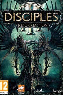 Disciples III: Resurrection Steam Key GLOBAL