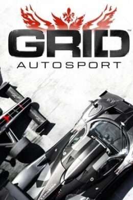 GRID Autosport Steam Key GLOBAL