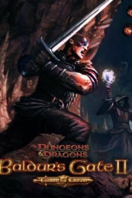 Baldur's Gate II: Enhanced Edition Steam Key GLOBAL