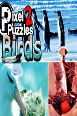 Pixel Puzzles 2: Birds Steam Key GLOBAL
