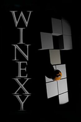 Winexy Steam Key GLOBAL