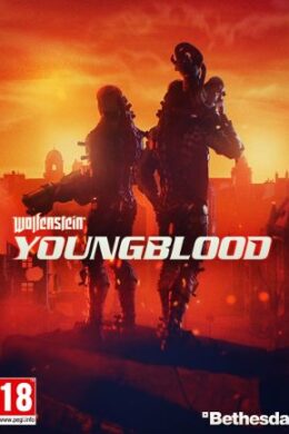 Wolfenstein: Youngblood Standard Edition Steam Key GLOBAL