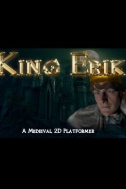 King Erik Steam Key GLOBAL