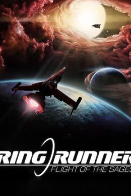 Ring Runner: Flight of the Sages Steam Key GLOBAL
