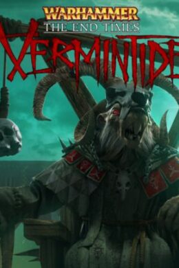 Warhammer: End Times - Vermintide Collector's Edition Steam Key GLOBAL