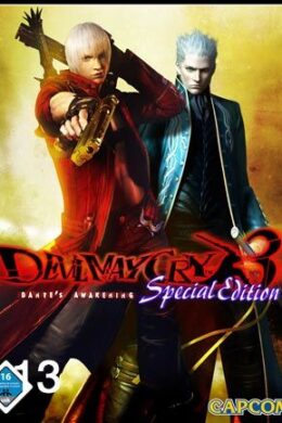 Devil May Cry 3 Special Edition Steam Key GLOBAL