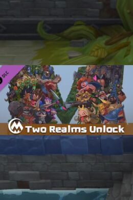 MINImax Tinyverse - Two Realms Unlock (Current & Future) Steam Key GLOBAL