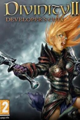Divinity II: Developer's Cut Steam Key GLOBAL