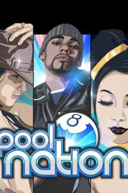 Pool Nation Steam Key GLOBAL