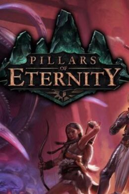 Pillars of Eternity - Champion Edition Steam Key GLOBAL