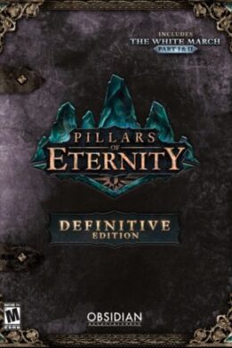 Pillars of Eternity - Definitive Edition (PC) - Steam Key - GLOBAL