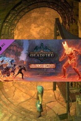 Pillars of Eternity II: Deadfire - Seeker, Slayer, Survivor Steam Key GLOBAL