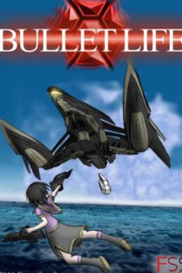 Bullet Life 2010 Steam Key GLOBAL