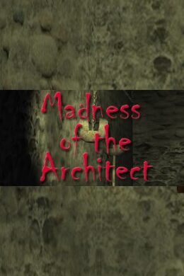 Madness of the Architect Steam Key GLOBAL