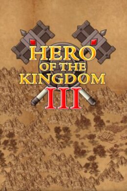 Hero of the Kingdom III Steam Key GLOBAL