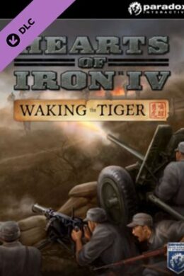 Hearts of Iron IV: Waking the Tiger (PC) - Steam Key - GLOBAL