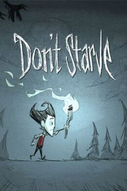 Don't Starve Steam Key GLOBAL