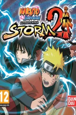 NARUTO SHIPPUDEN: Ultimate Ninja STORM 2 Steam Key GLOBAL