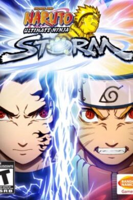 NARUTO: Ultimate Ninja STORM Steam Key GLOBAL