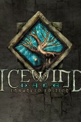 Icewind Dale: Enhanced Edition Steam Key GLOBAL