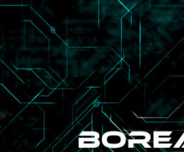 Borealis Steam CD Key