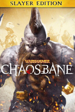 Warhammer: Chaosbane | Slayer Edition (PC) - Steam Key - GLOBAL