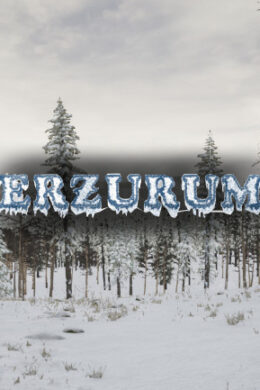 Erzurum (PC) - Steam Key - GLOBAL