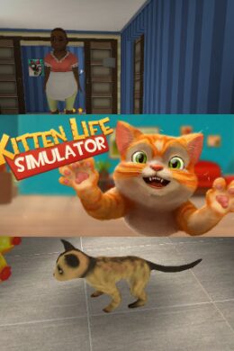 Kitten Life Simulator Steam Key GLOBAL