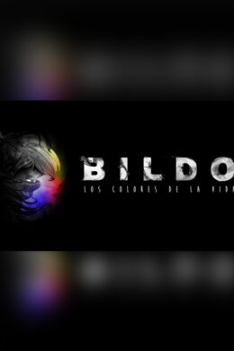 Bildo Steam CD Key