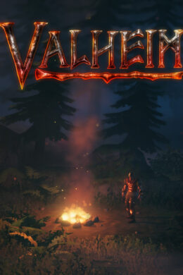 Valheim - Premium Items Pack Manual Delivery