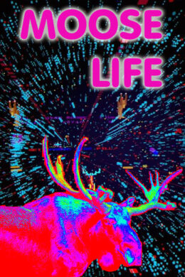 ﻿Moose Life Steam CD Key