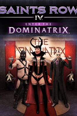 Saints Row IV - Enter The Dominatrix Steam Key GLOBAL