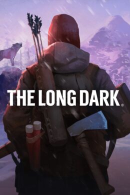 The Long Dark EU Steam CD Key