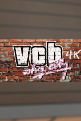 VCB: Why City 4k Steam Key GLOBAL