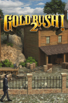 Gold Rush! 2 Steam Key GLOBAL